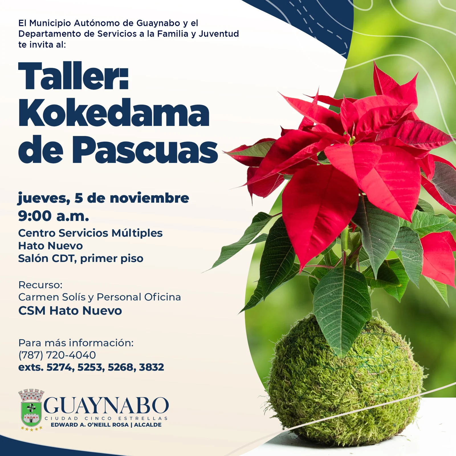 Taller: Kokedama de Pascuas