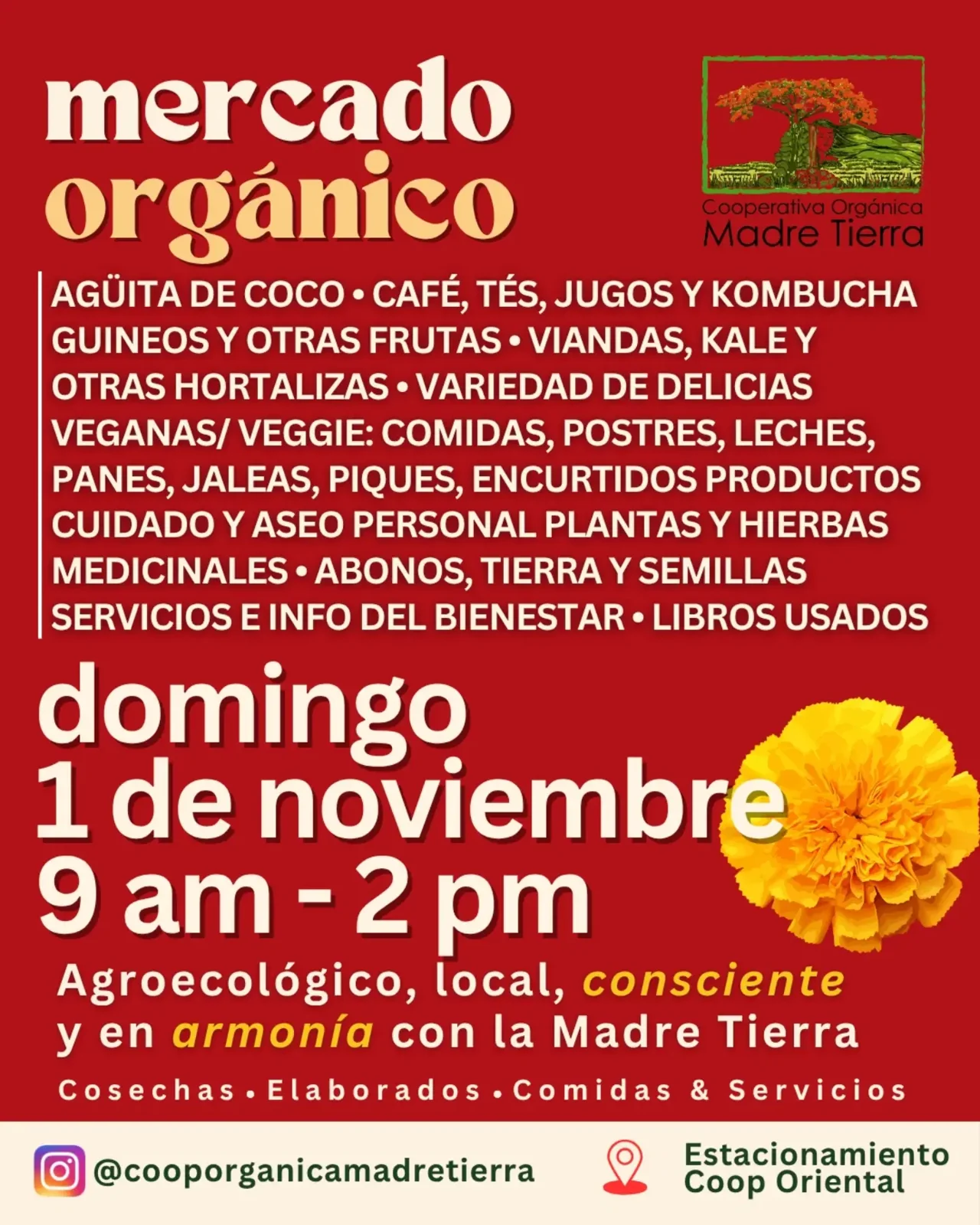 Mercado Orgánico Madre Tierra