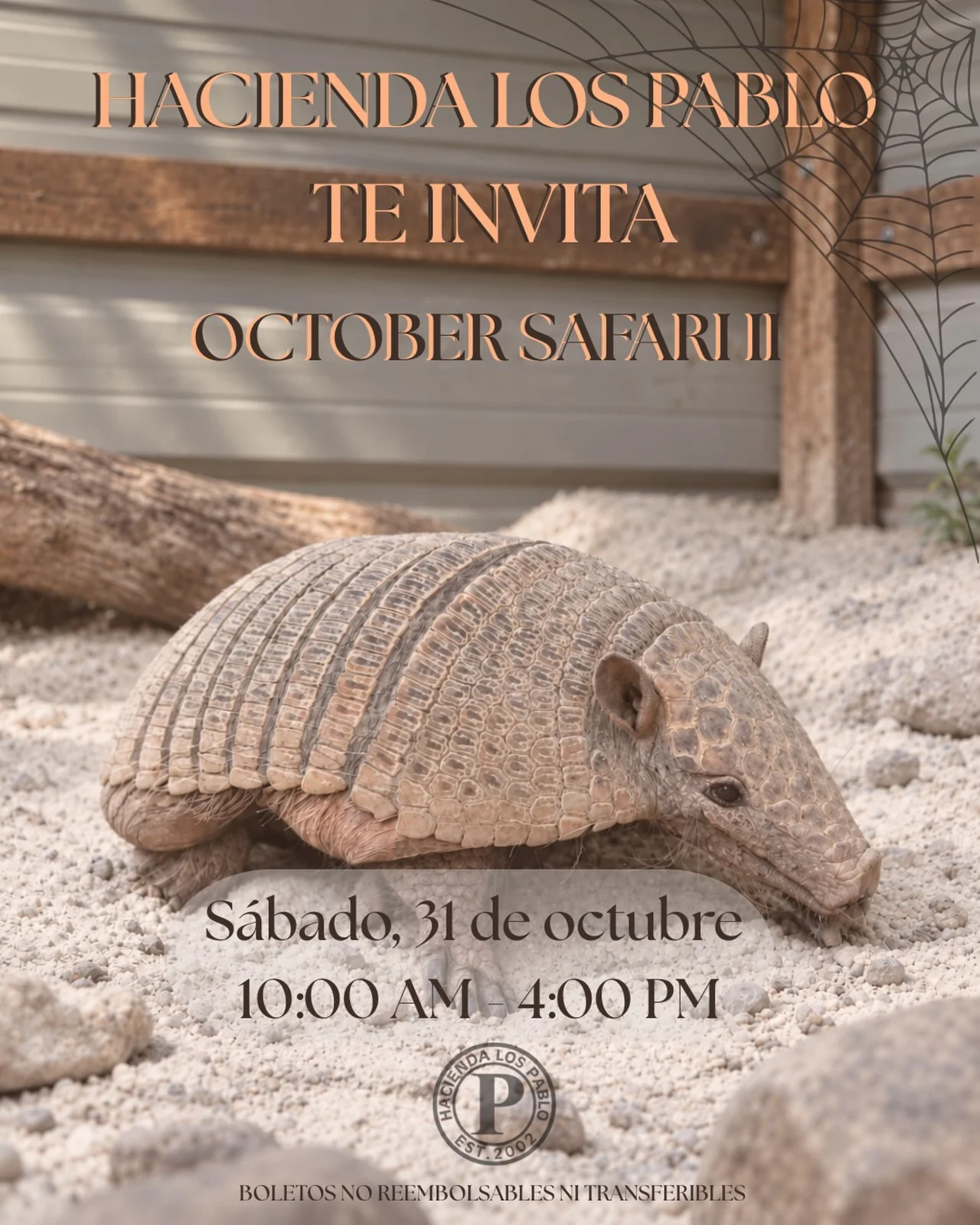 October Safari II