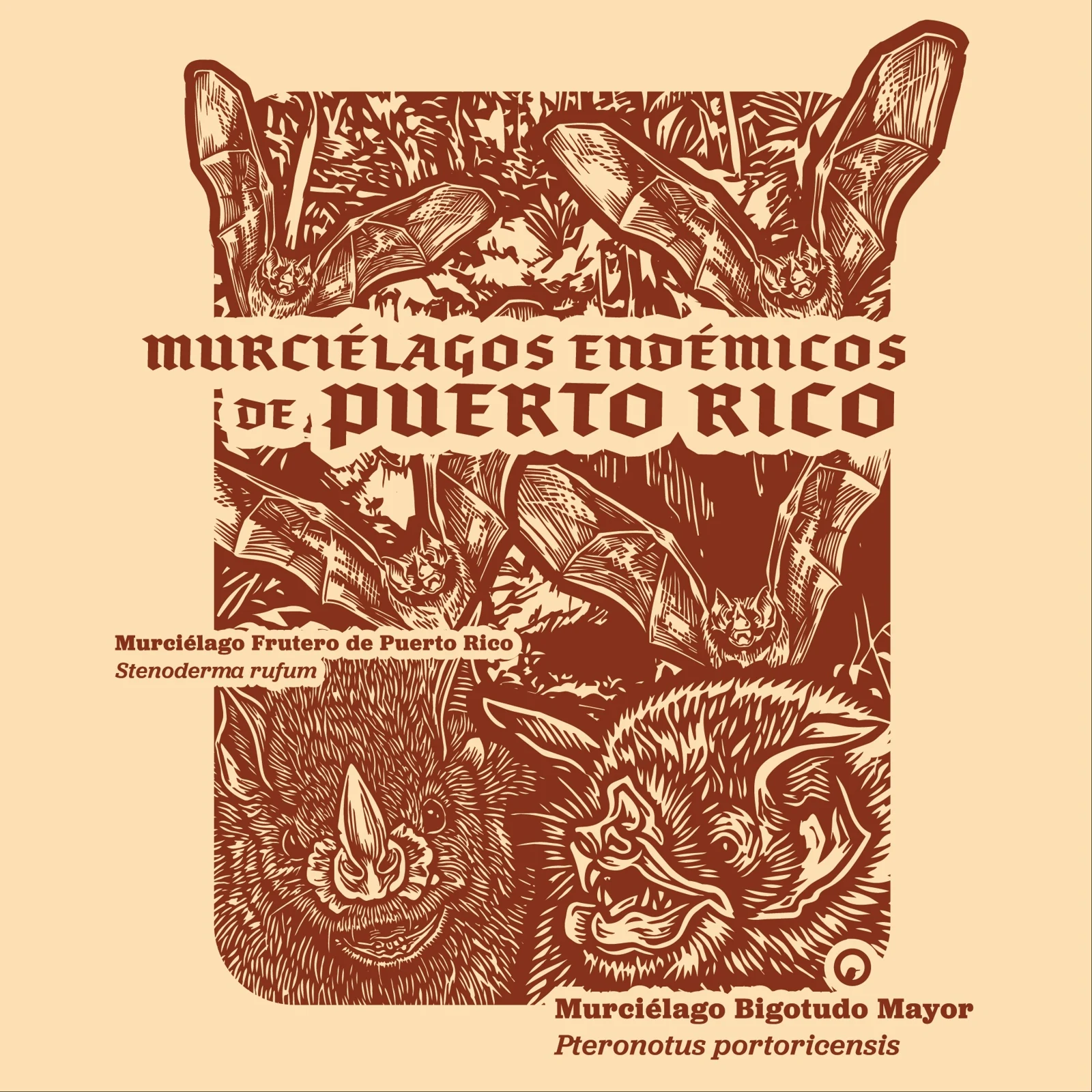 Murciélagos Endémicos de Puerto Rico en el Festival del Murciélago