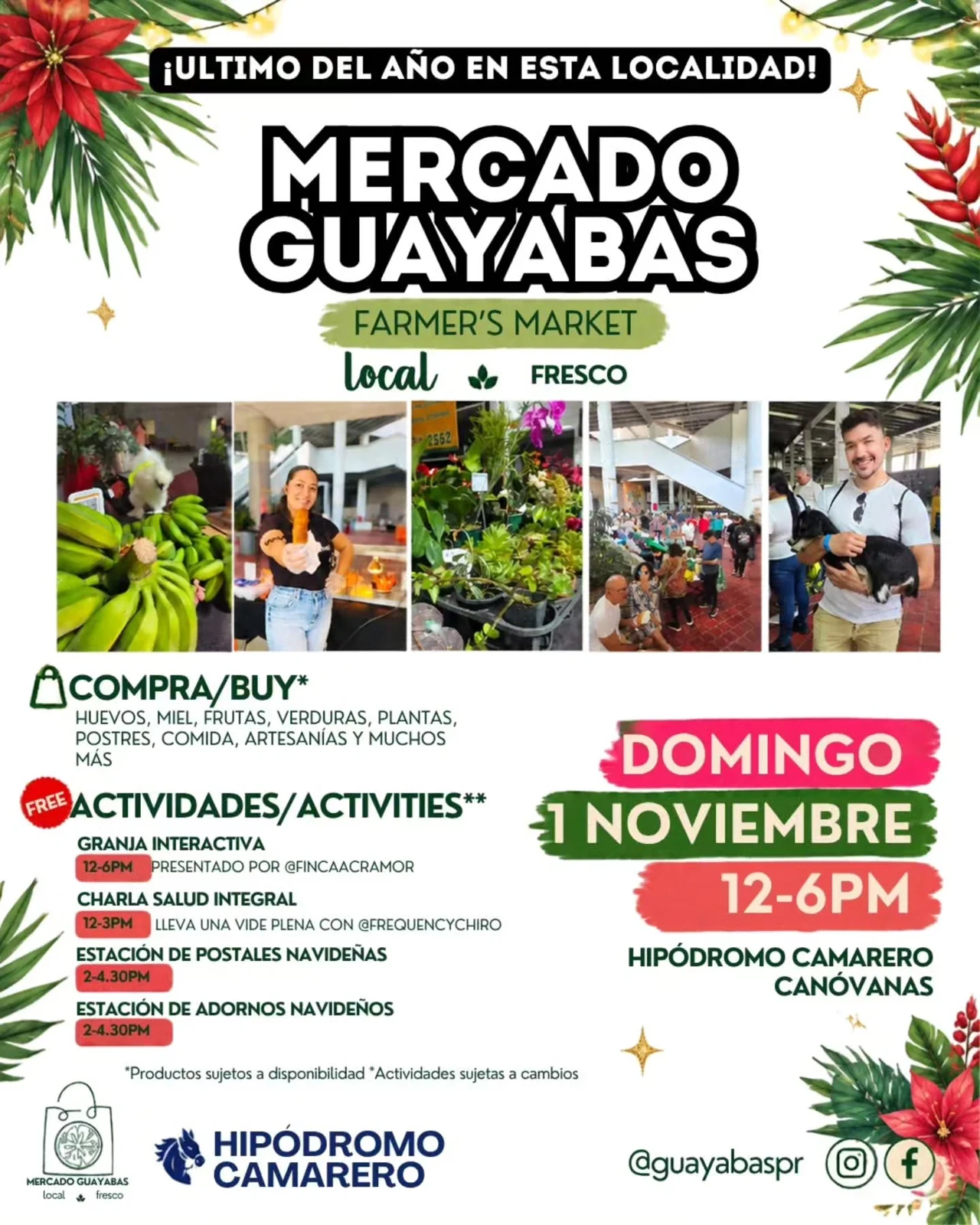 Mercado Guayabas: Edición de Cierre de Año