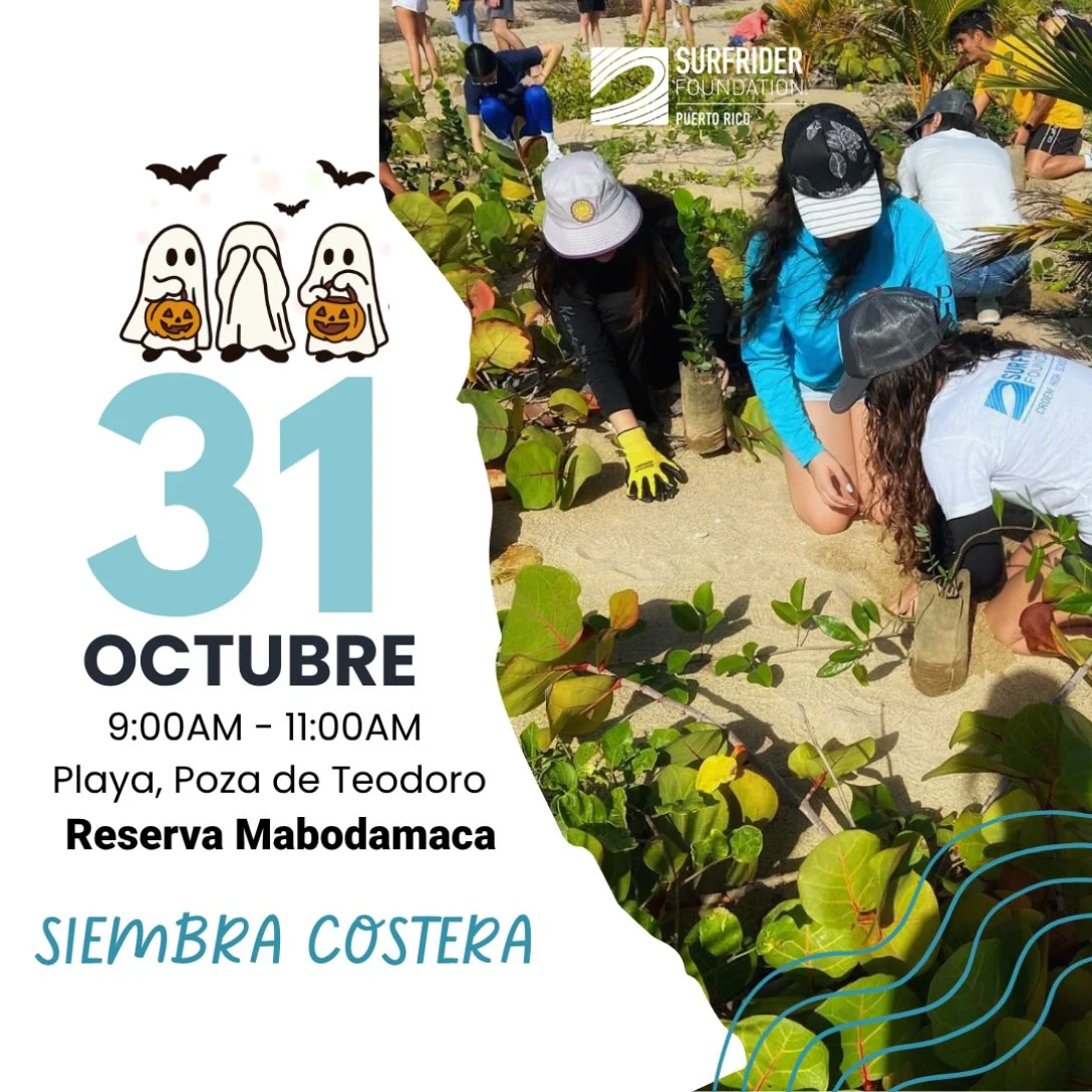 Siembra Costera en Reserva Mabodamaca